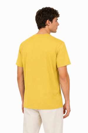 Apollo's T