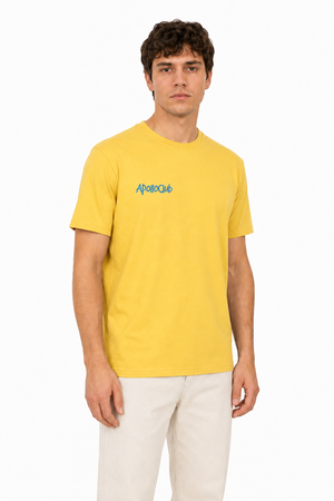 Apollo's T